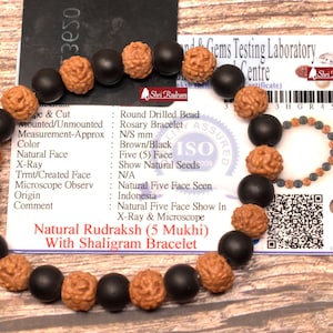 May include: A brown and black Rudraksh (5 Mukhi) bracelet with a Shaligram bracelet. The bracelet is made of natural Rudraksh beads and Shaligram beads. The beads are strung on a black cord. The bracelet is accompanied by a certificate of authenticity from the Shri Rudram Gems Testing Laboratory Centre. The certificate states that the beads are natural and have been tested by X-ray and microscope. The certificate also includes the ISO 9001-2008 certification number.