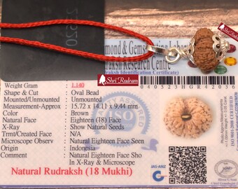 ShriRudram 18 MUkhi Rudraksha / Eighteen Face Rudraksh Java Bead Lab Certified 15.72 MM