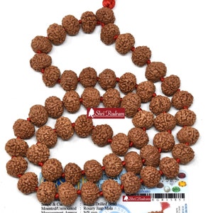 ShriRudram 8 Mukhi Rudraksha Mala / Eight Face Rudraksh Rosary Java Lab Certified 13-14 MM