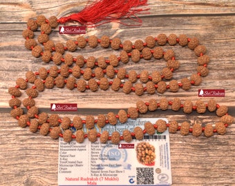 ShriRudram 7 Mukhi Rudraksha Mala / Seven Face Rudraksh Rosary Java Lab Certified 10 - 11 MM