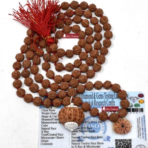 May include: A brown 12 Mukhi Rudraksha mala with a red tassel. The mala is made of natural seeds and is 8.83 inches by 15.11 inches. The mala is certified by the Diamond & Gems Testing Laboratory and Rudraksh Research Centre.