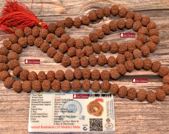 ShriRudram 10 Mukhi Rudraksha Mala / Ten Face Rudraksh Rosary Java Lab Certified 12 - 13 MM