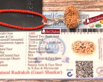 ShriRudram Gauri Shankar Rudraksha / Gouri Sankar Rudraksh Java Bead Lab Certified 17.55 MM