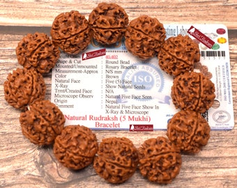 ShriRudram Big Size Nepali 5 Mukhi Rudraksha Bracelet - Lab Certified, Shiva Armlet, Spiritual Gifts, Five Faced Rudraksha Bracelet