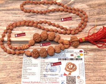 ShriRudram Siddha Mala - 1 to 14 Mukhi Rudraksha Beads With Gauri Shankar and Ganesh Rudraksha, Indonesian Beads Lab Certified D15
