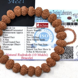 ShriRudram 10 Mukhi Rudraksha Bracelet / Ten Face Rudraksh Wristlet Java Lab Certified