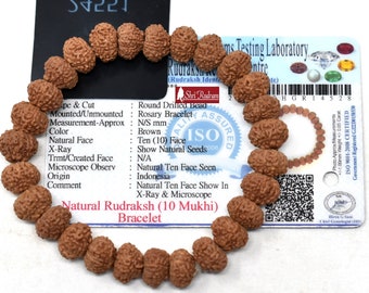 Shri Rudram 10 Mukhi Rudraksha Bracelet / Ten Face Rudraksh Wristlet Java Lab Certified