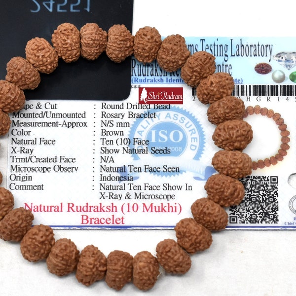 Shri Rudram 10 Mukhi Rudraksha Bracelet / Ten Face Rudraksh Wristlet Java Lab Certified