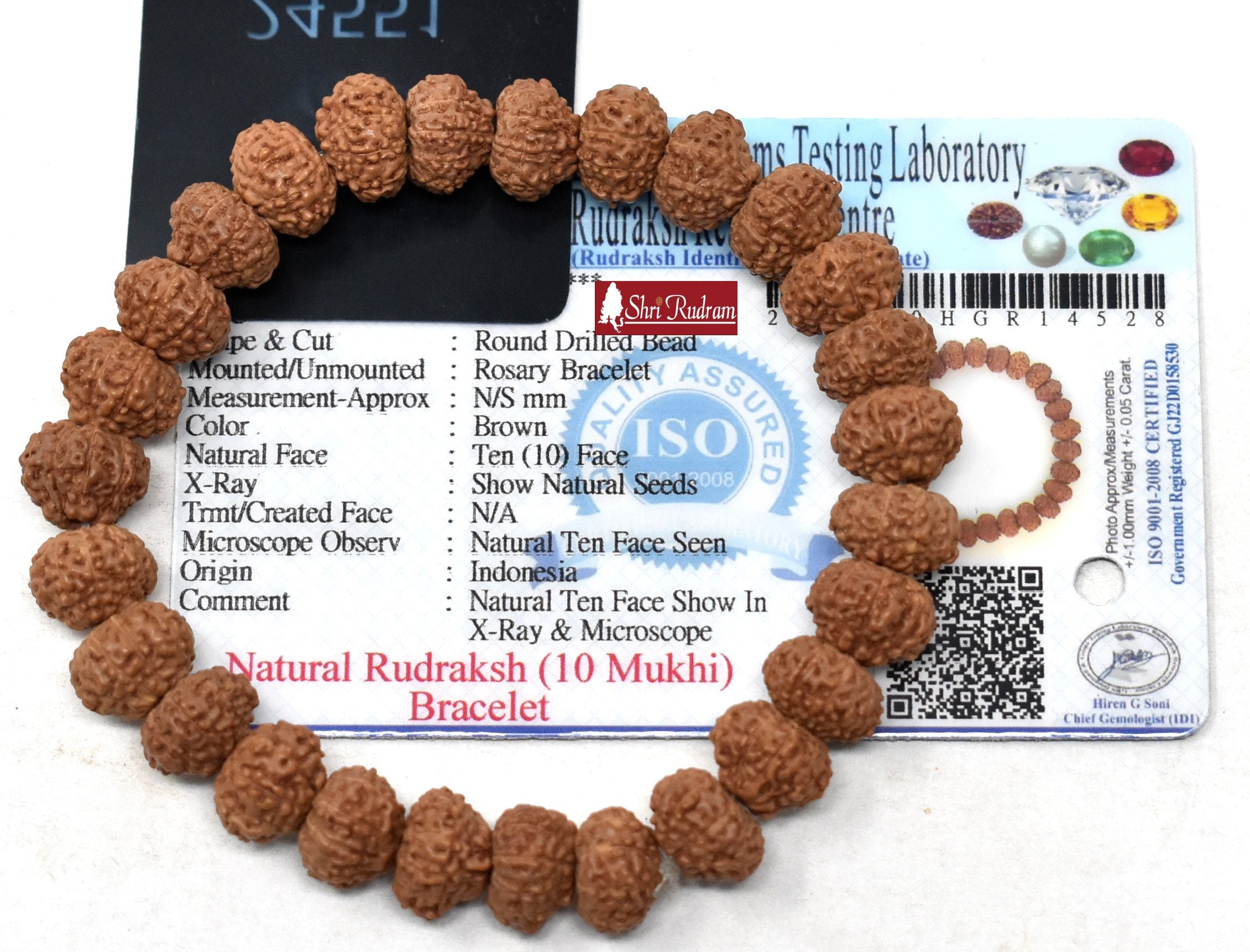 10 mukhi Krishna bracelet from Java with Red Sandalwood beads - Rudra Centre