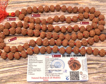 ShriRudram 8 Mukhi Rudraksha Mala / Eight Face Rudraksh Rosary Java Bead Lab Certified 10 MM