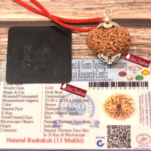 Divya Shakti 13 Mukhi Nepali Rudraksha Silver Pendant - 20mm Bead For Men & Women, Spiritual & Material Success, Kamdeva Blessings