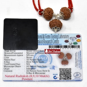ShriRudram 8 , 9 , 10 Mukhi Rudraksha Combination , Kaal Sarp Nivaran Mala Rosary Java Lab Certified