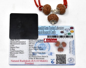 ShriRudram 8 , 9 , 10 Mukhi Rudraksha Combination , Kaal Sarp Nivaran Mala Rosary Java Lab Certified