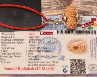 15 Mukhi Rudraksha Pendant - Lab Certified Spiritual Gifts, Yoga Pendant, Fifteen Face Rudraksha Pendant 21.05 MM