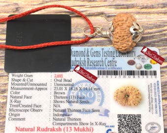 Puede incluir: Un colgante de cuenta de Rudraksh natural marrón de trece caras con una tapa de metal plateado, suspendido de un cordón rojo. El colgante se muestra con un certificado de identificación de laboratorio con dimensiones de 23,01 x 18,16 x 14,14 mm.