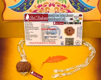 ShriRudram 4 Mukhi Rudraksha / Four Face Rudraksh Nepal Bead in Pure Silver Chain Lab Certified