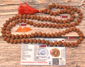 ShriRudram 11 Mukhi Rudraksha Mala / Eleven Face Rudraksh Rosary Java Lab Certified 108+1 Beads 10 MM D2