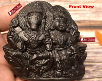 ShriRudram Luxmi Hayagriva Murti / Laxmi HayGriva Idol Carved on Sudarshan Shaligram Nepal LH250