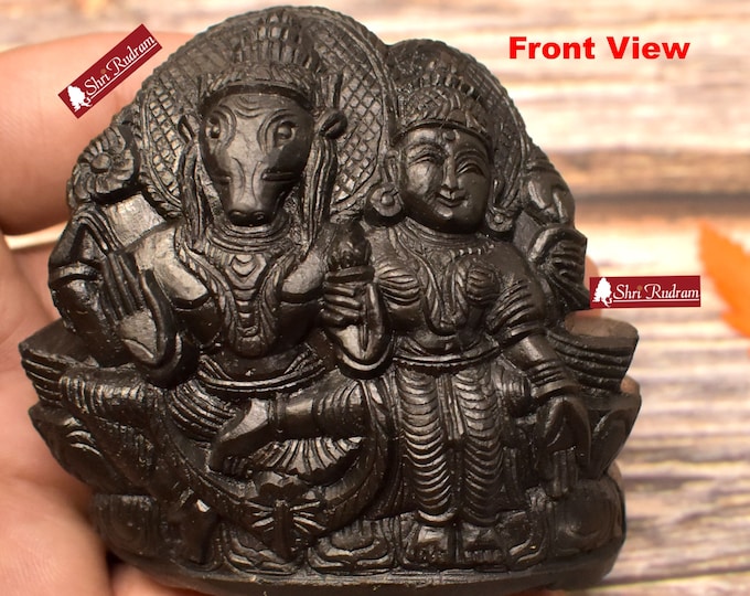 Shaligram Idol