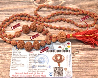 ShriRudram Siddha Mala - 1 to 14 Mukhi Rudraksha Beads With Gauri Shankar and Ganesh Rudraksha, Indonesian Beads Lab Certified D14
