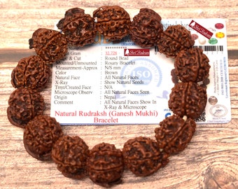 ShriRudram Ganesh Rudraksha Bracelet / Ganesha Rudraksh Wristlet Nepal Bead Lab Certified D77