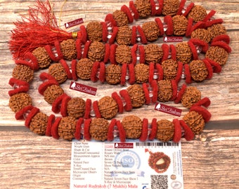 ShriRudram 7 Mukhi Rudraksha Mala / Seven Face Rudraksh Rosary Nepal 36+1 Beads Lab Certified Top Quality