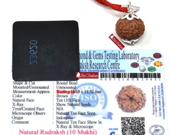 ShriRudram 10 Mukhi Rudraksha Ten Face Rudraksh Java Bead Lab Certified 17-20 MM