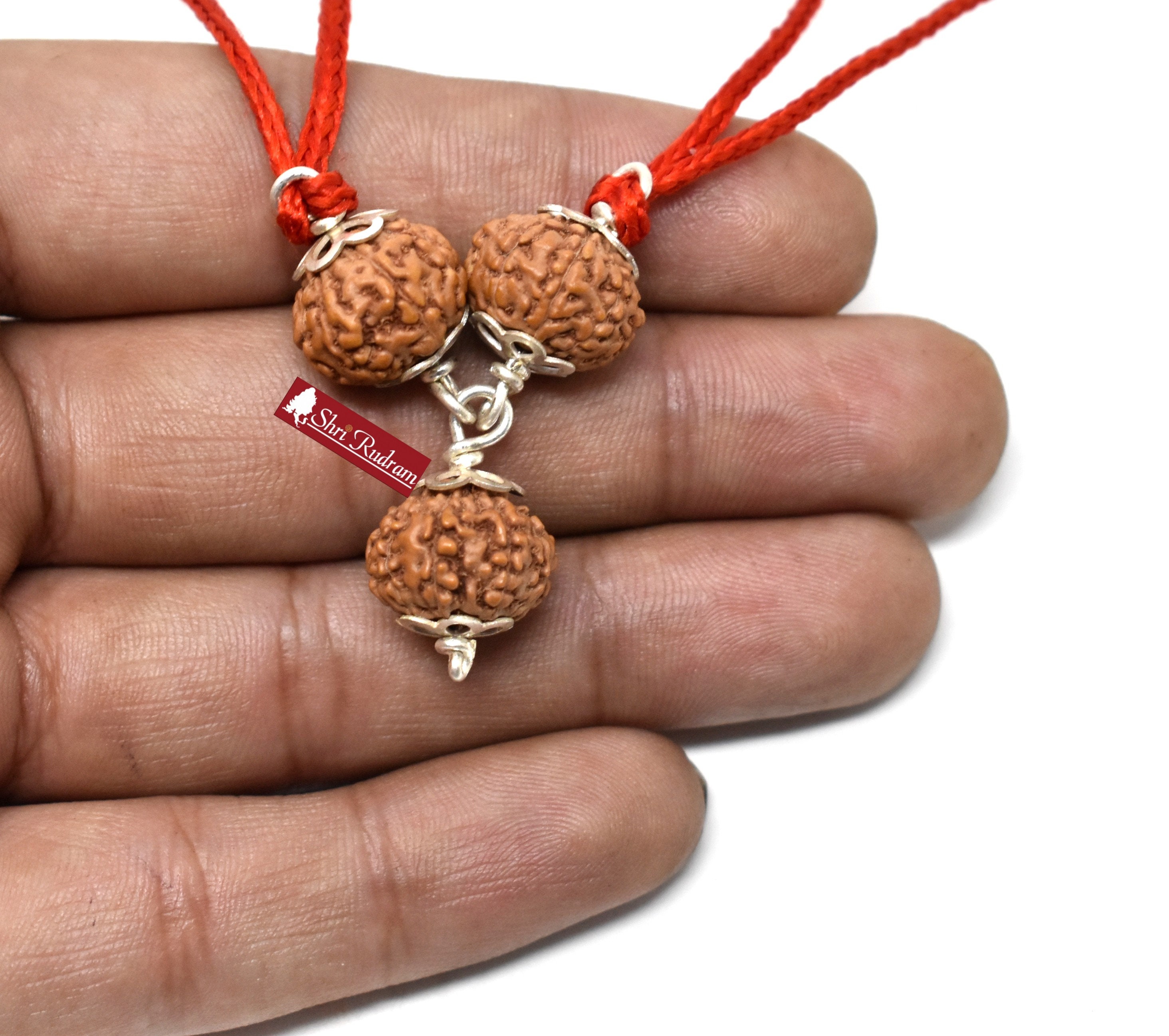 Shrirudram 8 , 9 , 10 Mukhi Rudraksha Combination , Kaal