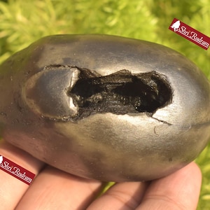 ShriRudram Parshuram Shaligram Parshurama Shaligram Shila Gandaki River Nepal PRS312