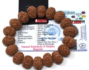 ShriRudram 9 Mukhi Rudraksha Bracelet / Nine Face Rudraksh Wristlet Java Lab Certified 15-17 MM