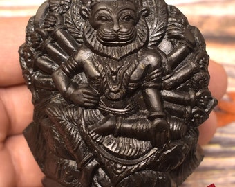 Shaligram Idol