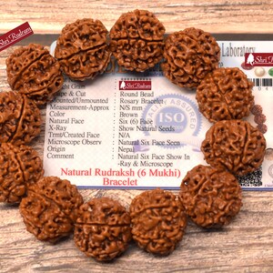 Shri Rudram 6 Mukhi Rudraksha Bracelet / Six Face Rudraksh Wristlet Nepal Lab Certified 21-22  MM Top Quality