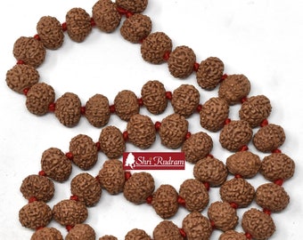 ShriRudram 9 Mukhi Rudraksha Mala / Nine Face Rudraksh Rosary 54+1 Beads Lab Certified 14-16 MM