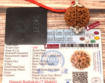 ShriRudram 7 Mukhi Rudraksha / Seven Face Rudraksh Nepal Bead Lab Certified Size 23.46 MM