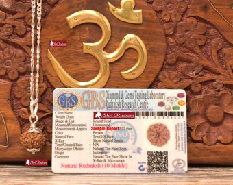 ShriRudram 10 Mukhi Rudraksha / Ten Face Rudraksh Java Bead in Pure Silver Chain Lab Certified