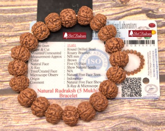 ShriRudram 5 Mukhi Rudraksha Bracelet 12mm -Lab Certified, Spiritual Gifts, Five Faced Rudraksha Bracelet 5 Face Rudraksha Shiva bracelet