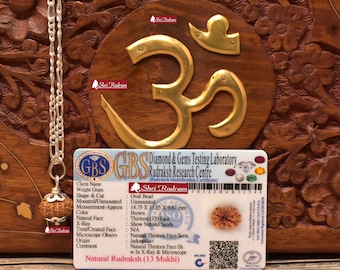 ShriRudram 13 Mukhi Rudraksha / Thirteen Face Rudraksh Java Bead in Pure Silver Chain Lab Certified