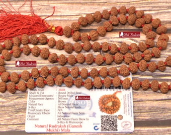 ShriRudram Ganesh Rudraksha Mala / Ganesha Rudraksh Rosary 108+1 Beads  Lab Certified 9-10 MM