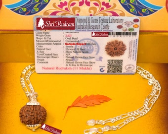 ShriRudram 11 Mukhi Rudraksha / Eleven Face Rudraksh Nepal Bead in Pure Silver Chain Lab Certified