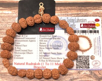 ShriRudram Powerful Combination Rudraksha 1 2 3 4 5 6 7 8 9 10 11 Mukhi (Face) Beads Bracelet  Rudraksha Bracelet, Shiva armlet