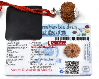 ShriRudram 8 Mukhi Rudraksha Eight Face Rudraksh Nepal Bead Lab Certified 20-22 MM