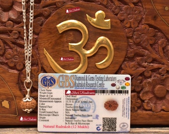 ShriRudram 12 Mukhi Rudraksha / Twelve Face Rudraksh Java Bead in Pure Silver Chain Lab Certified