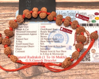 ShriRudram Siddha Bracelet 1 - 16 Mukhi , Gauri Shankar , Ganesh Rudraksha Rudraksh in Lab Certified D25