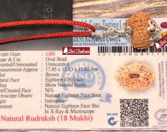 ShriRudram 18 MUkhi Rudraksha / Eighteen Face Rudraksh Java Bead Lab Certified 17.85 MM
