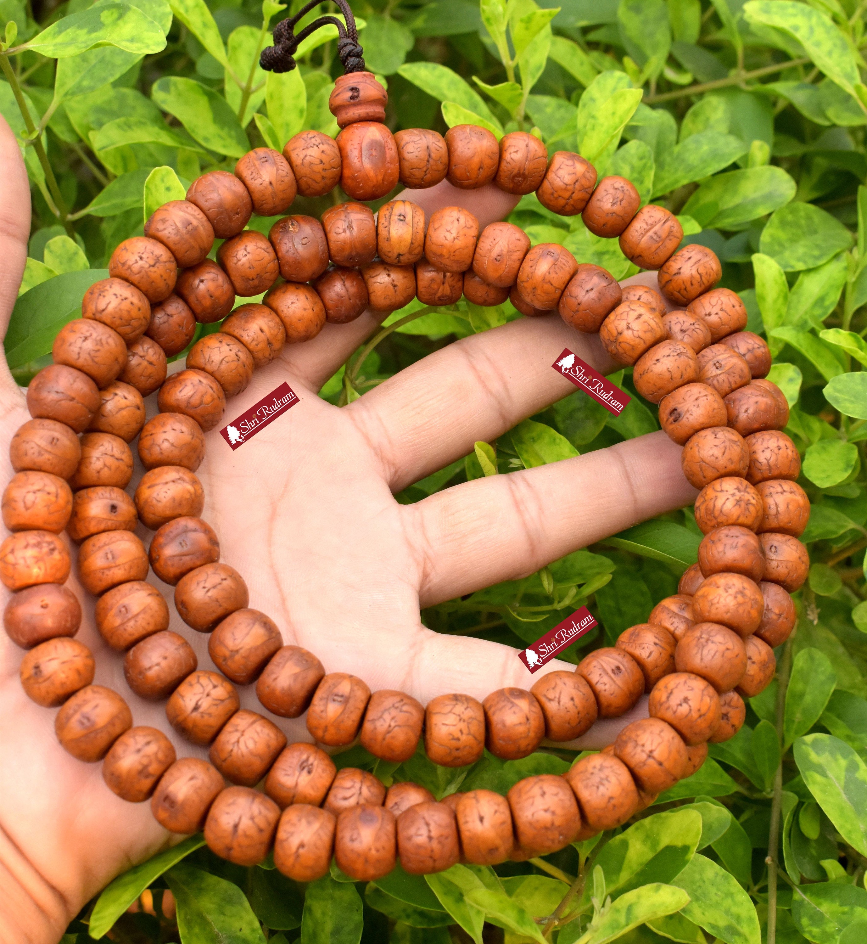 108ct 10mm Bajra India Bodhi Seed Mala from Nepal