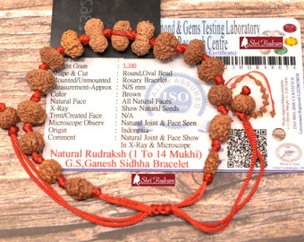 ShriRudram Siddha Bracelet 1 - 14 Mukhi , Gauri Shankar , Ganesh Rudraksha Rudraksh in Lab Certified D54