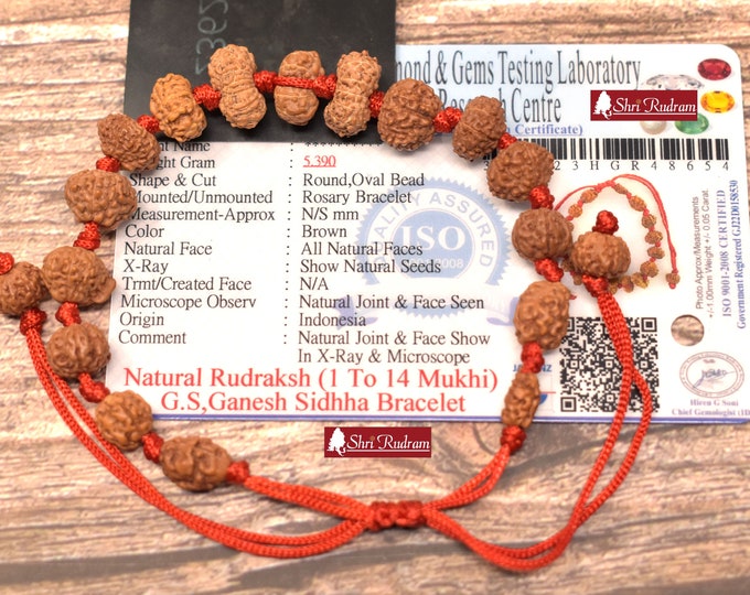 Featured listing image: ShriRudram Siddha Bracelet 1 - 14 Mukhi , Gauri Shankar , Ganesh Rudraksha Rudraksh in Lab Certified D54