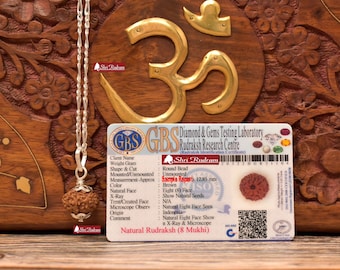 ShriRudram 8 Mukhi Rudraksha / Eight Face Rudraksh Java Bead in Pure Silver Chain Lab Certified