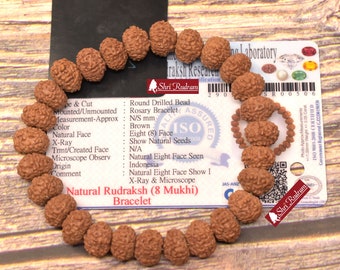 Shri Rudram 8 Mukhi Rudraksha Bracelet / Eight Face Rudraksh Wristlet Java Lab Certified