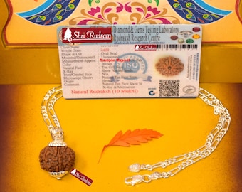 ShriRudram 10 Mukhi Rudraksha / Ten Face Rudraksh Nepal Bead in Pure Silver Chain Lab Certified